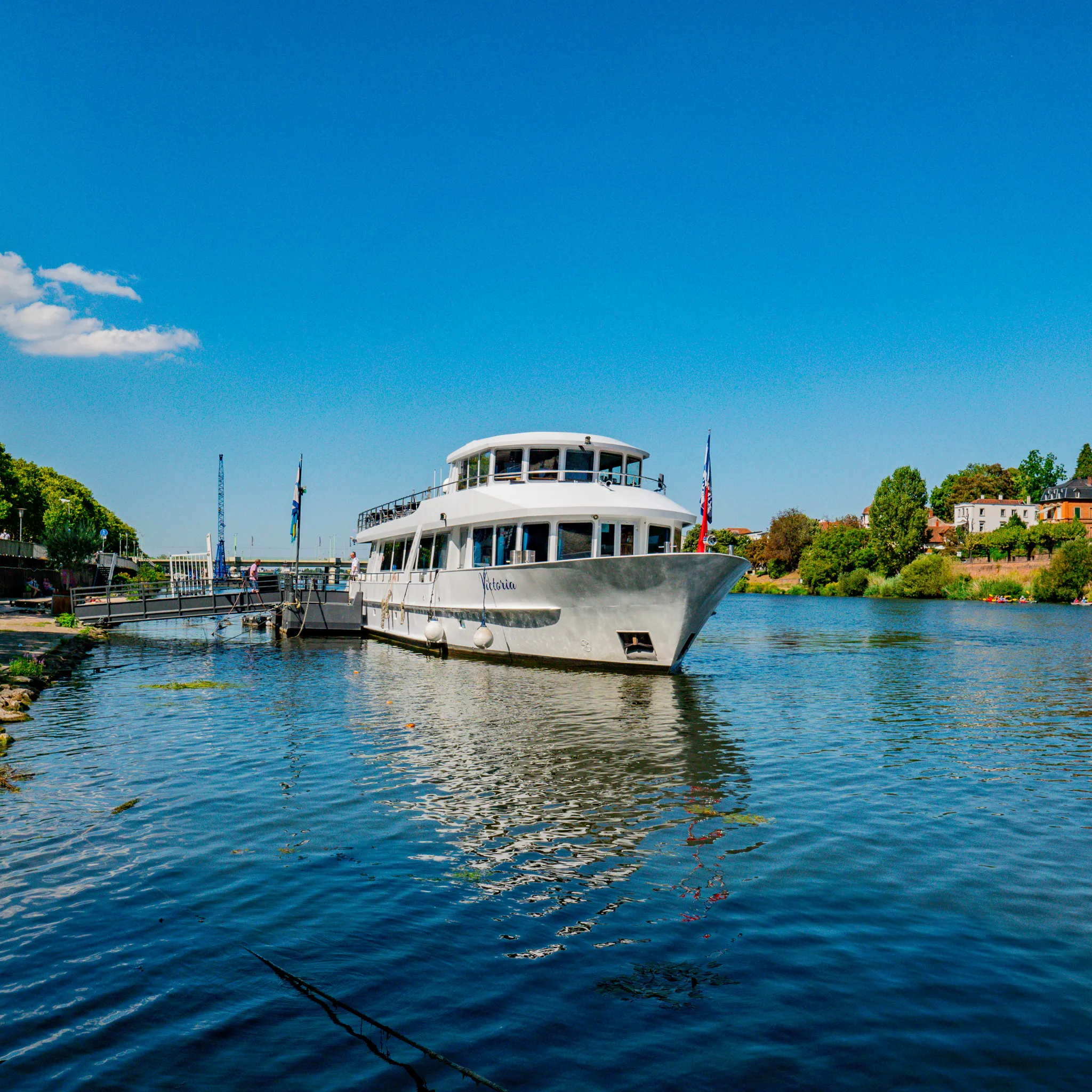 Weisse Flotte Heidelberg — Eindruck